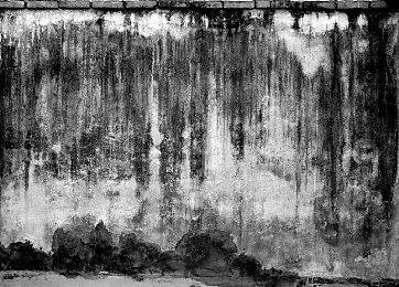 《Fate＆Samurai Remnant》首个正式PV泄露 9月发售