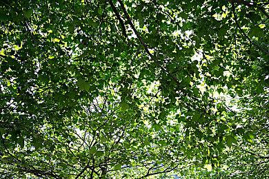 中世纪农奴模拟游戏《桎梏之下》Steam版3月28日发售