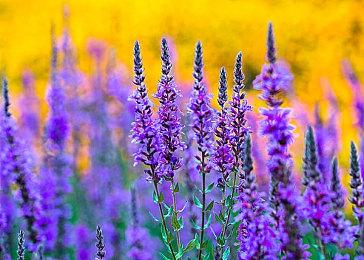 《开拓者：正义之怒》PS4＆X1版延期至明年3月推出