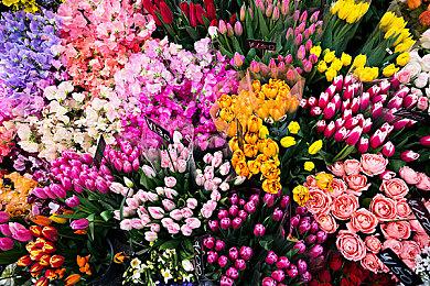 刷本不用体力，装备不用凹词条？这款二游有些大胆